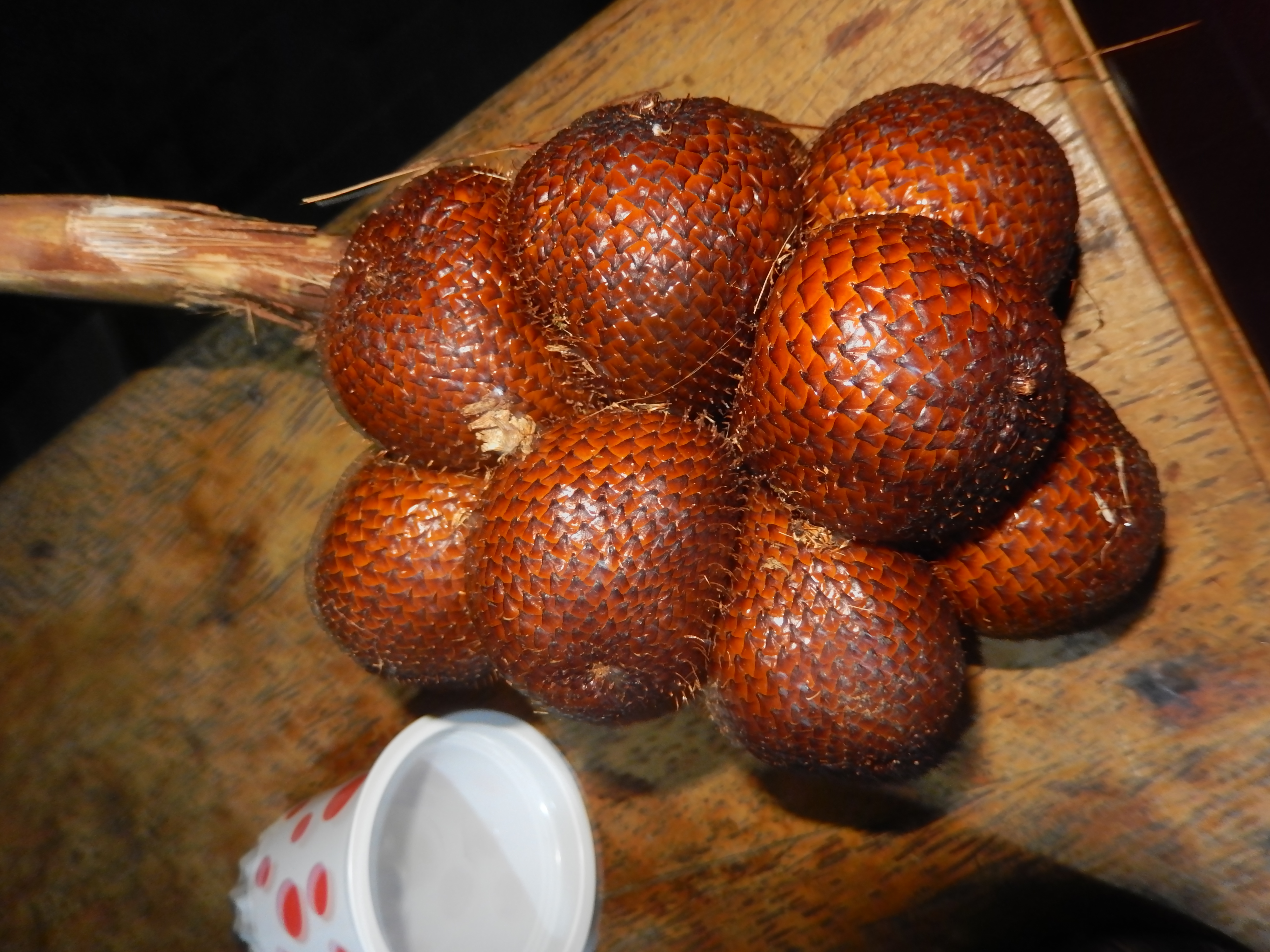 snakefruit.jpg