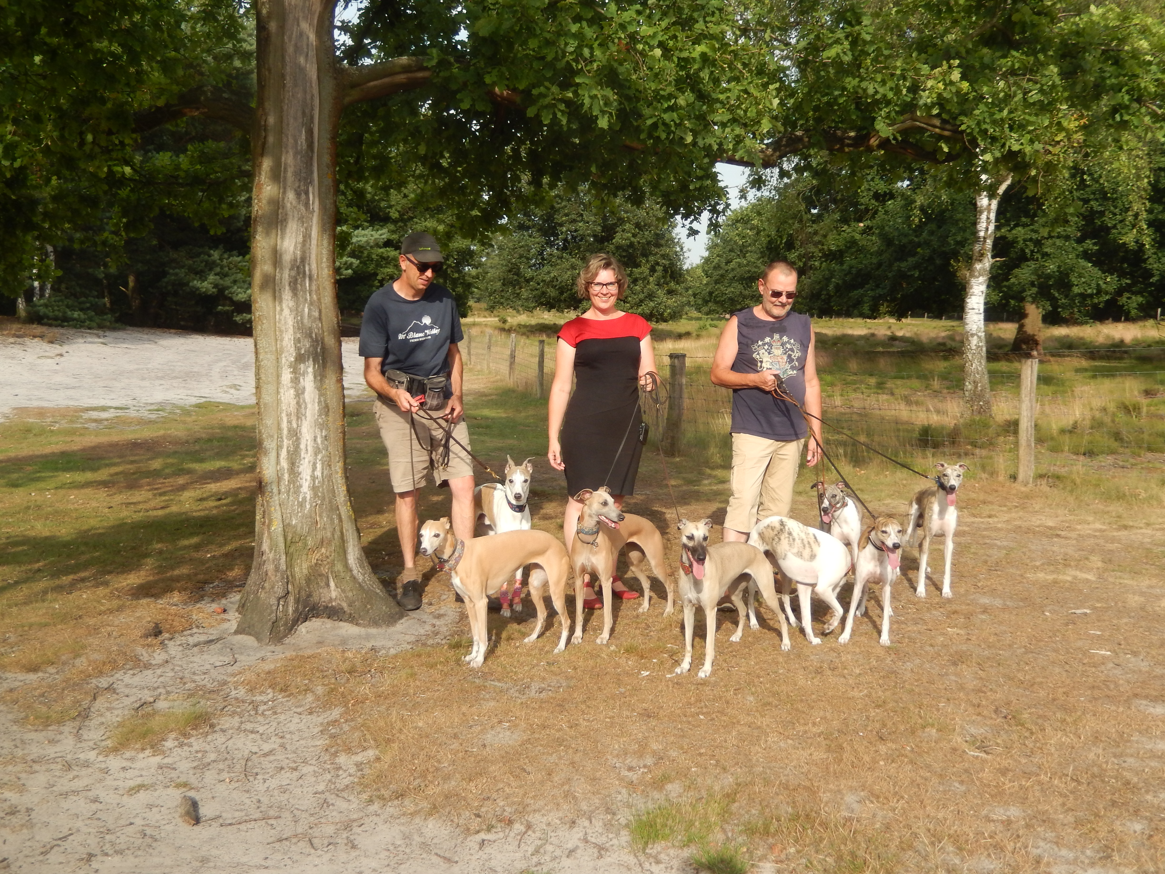 wandelen.jpg