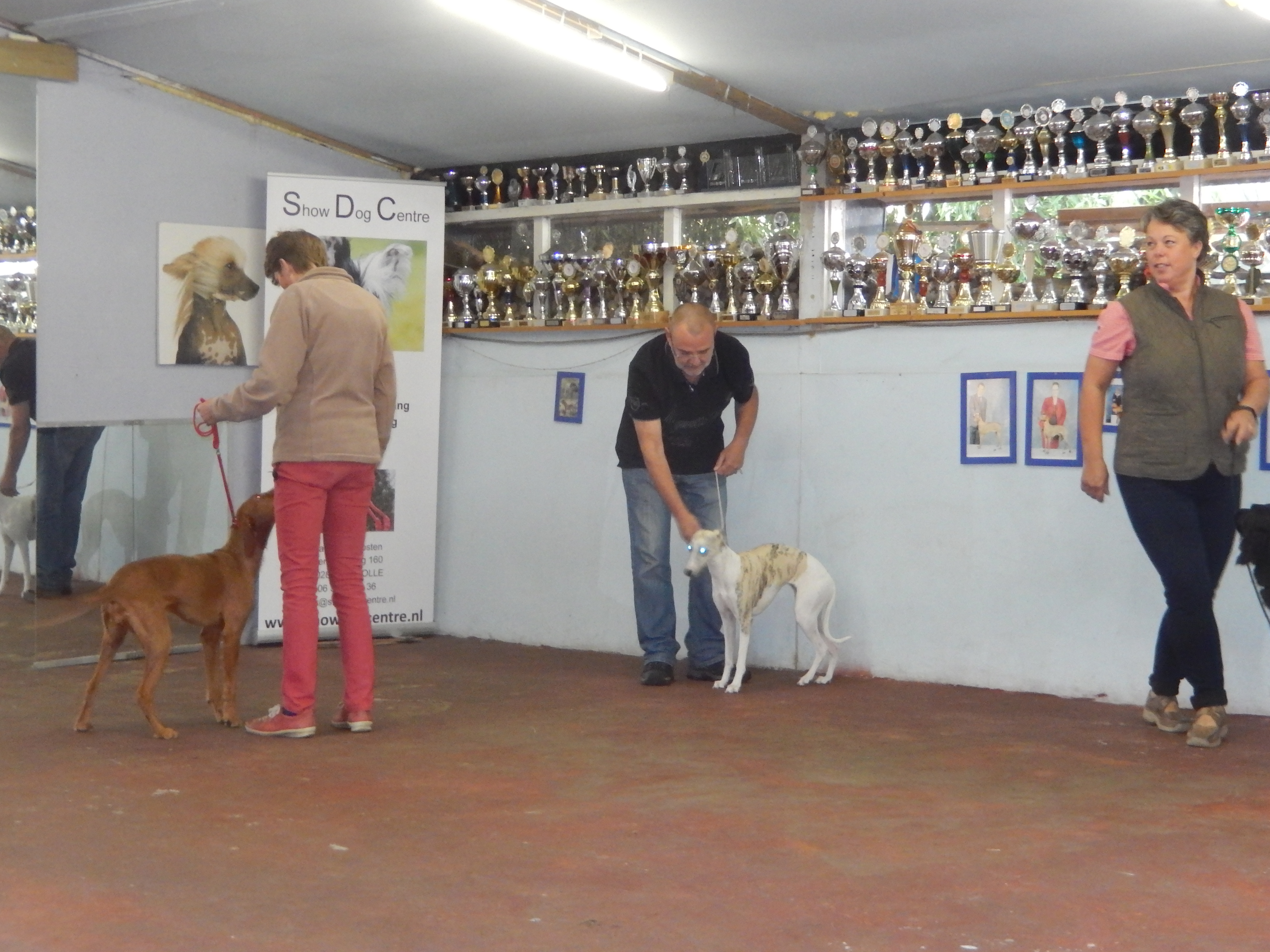 showdogcentre.jpg